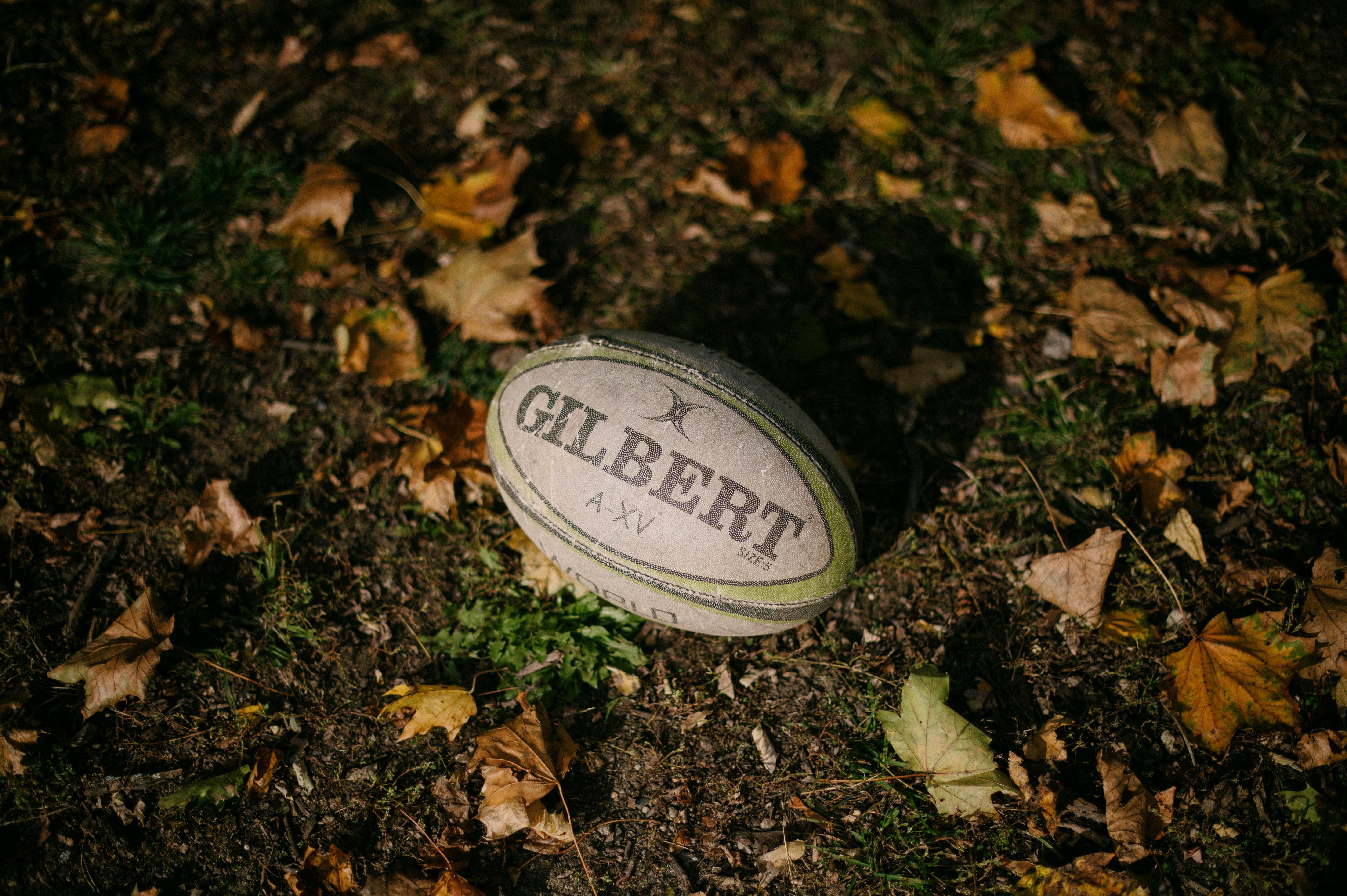 The History of Rugby: From Schoolyard Scraps to Global Phenomenon