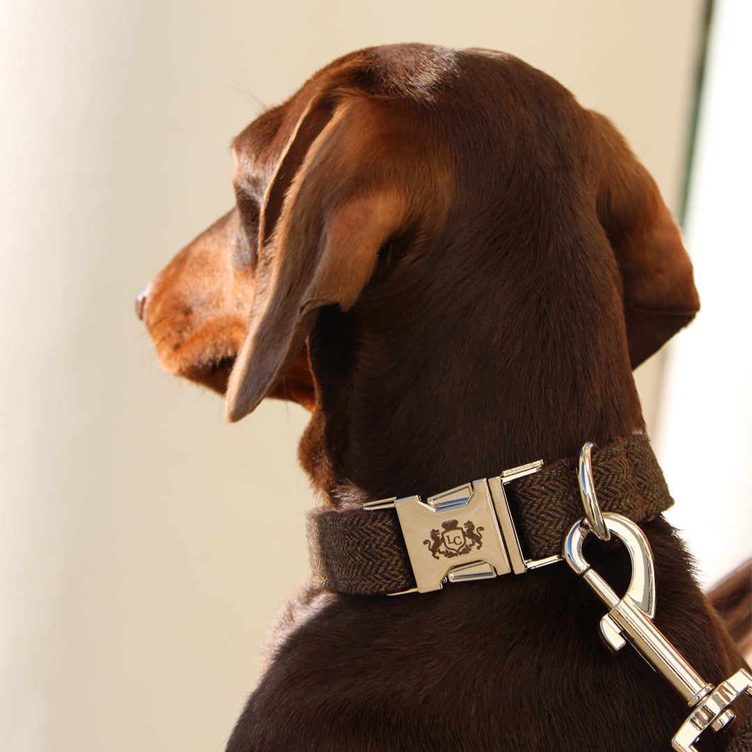 Lords Herringbone Dog Collar - Brown